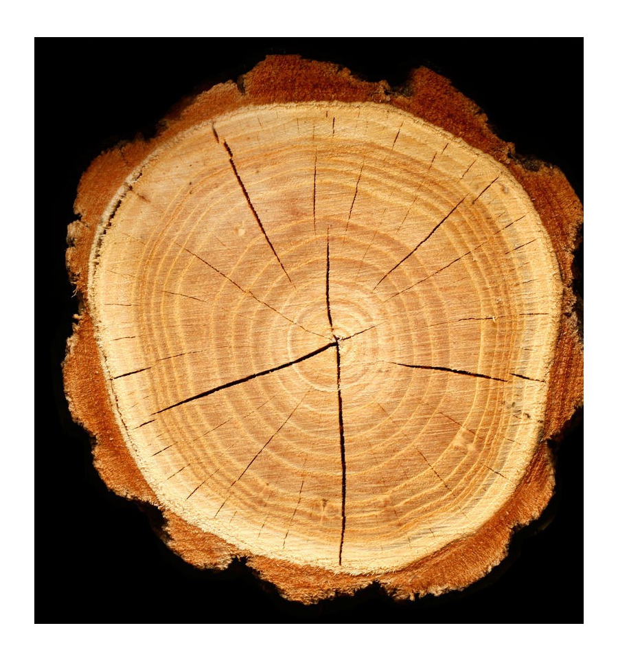 ADRIANA / Inšpirovaná GIORGIO ARMANI - Sí .. 15ml