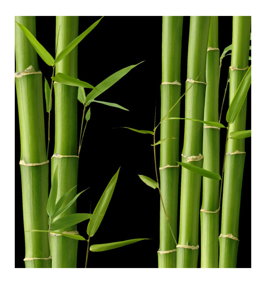 KARA / Inšpirovaná DOLCE & GABBANA - Light Blue .. 15ml