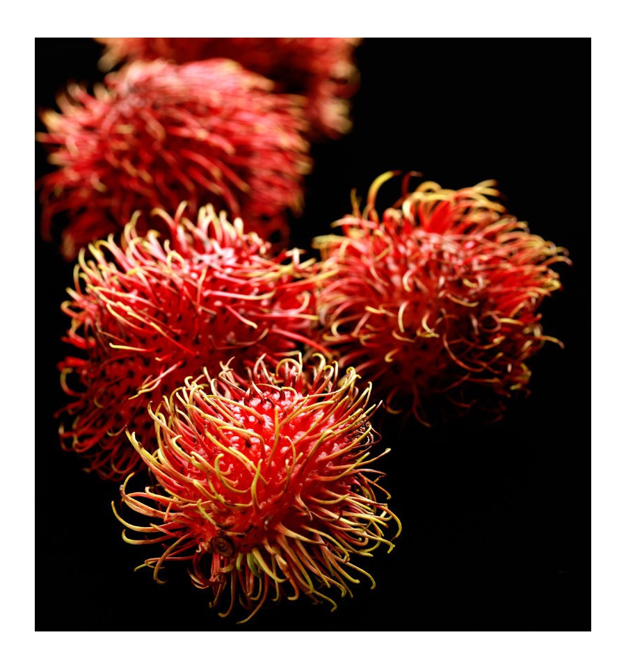 SOPHISTICATE / Inšpirovaná DOLCE & GABBANA -The One .. 15ml