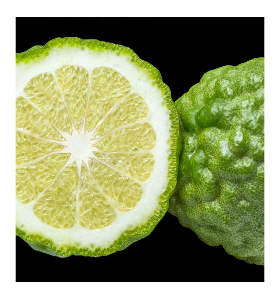 CARIBBEAN / Inšpirovaná CHRISTIAN DIOR - Sauvage .. 15ml 