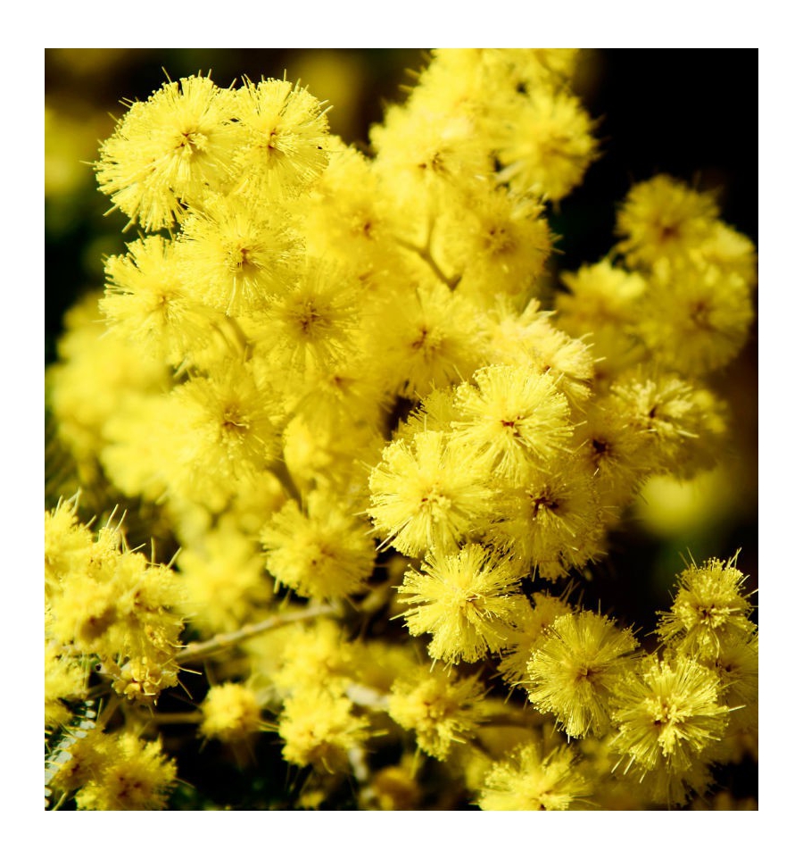 CANDY / Inšpirovaná CLINIQUE - Happy .. 15ml