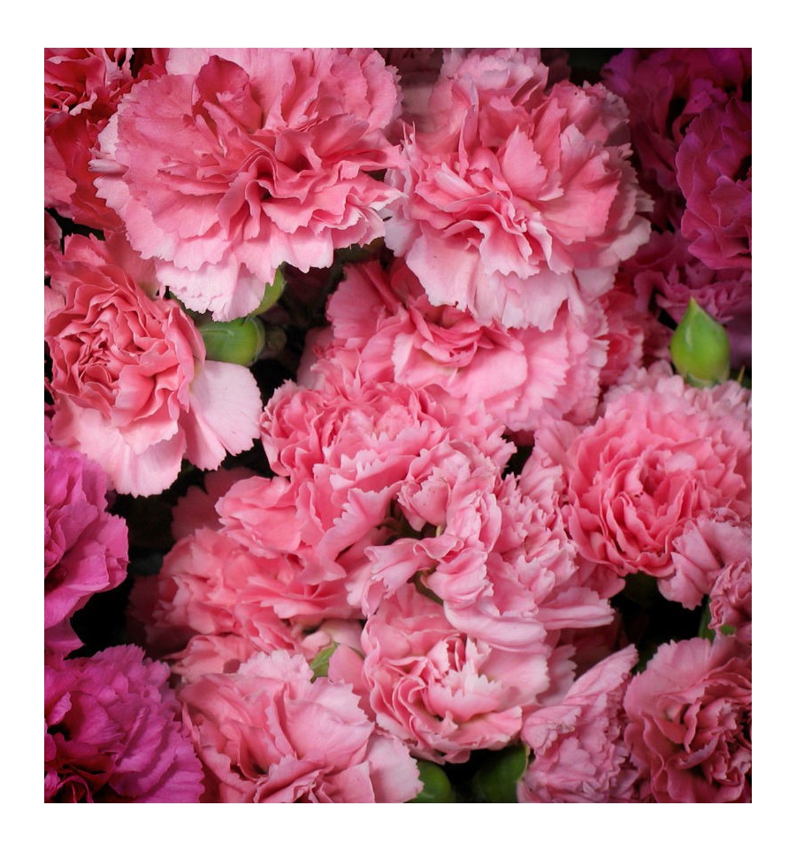 INFERNO / Inšpirovaná CHRISTIAN DIOR - Fahrenheit .. VZ