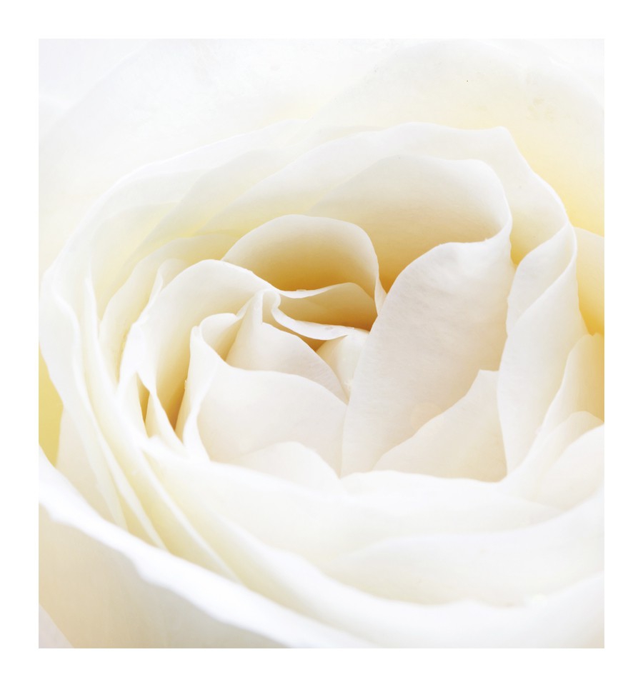 NICOLÁS WHITE / Inšpirovaná NARCISO RODRIGUEZ - Narciso .. 50ml