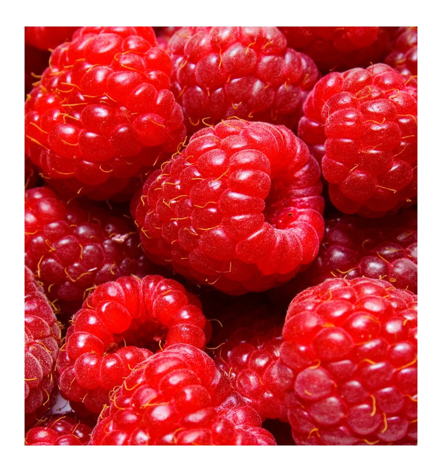 POWER WOMAN / Inšpirovaná PACO RABANNE Lady Million .. VZ