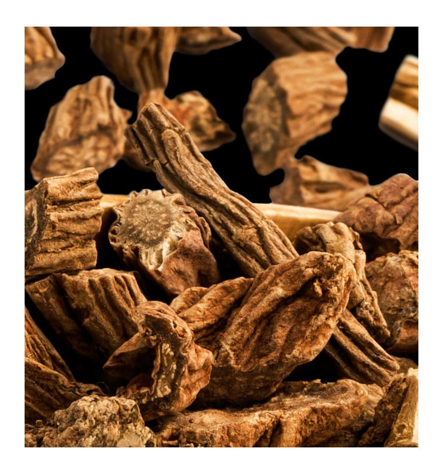 POWER WOMAN / Inšpirovaná PACO RABANNE Lady Million .. VZ