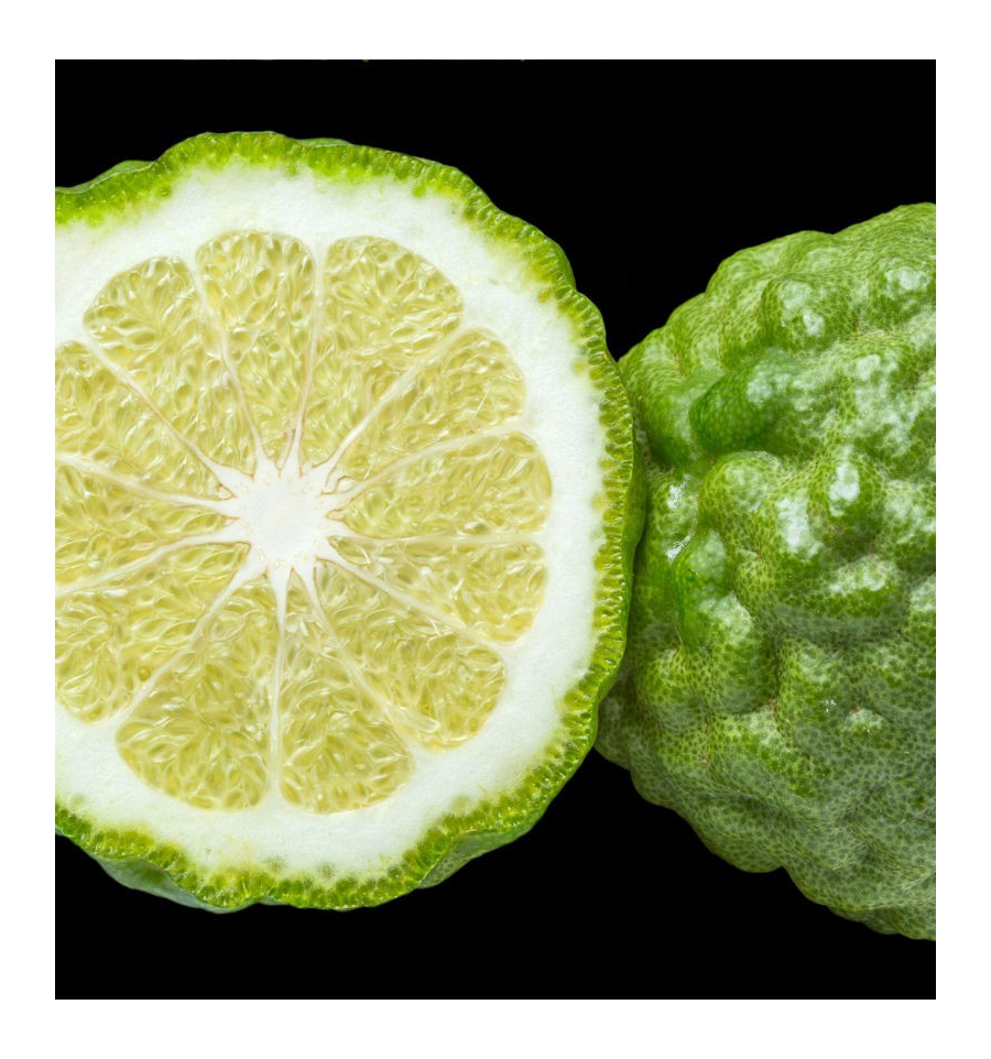 ACQUA PER UOMO /Inšpirovaná GIORGIO ARMANI - Acqua Di Gio .. 50ml