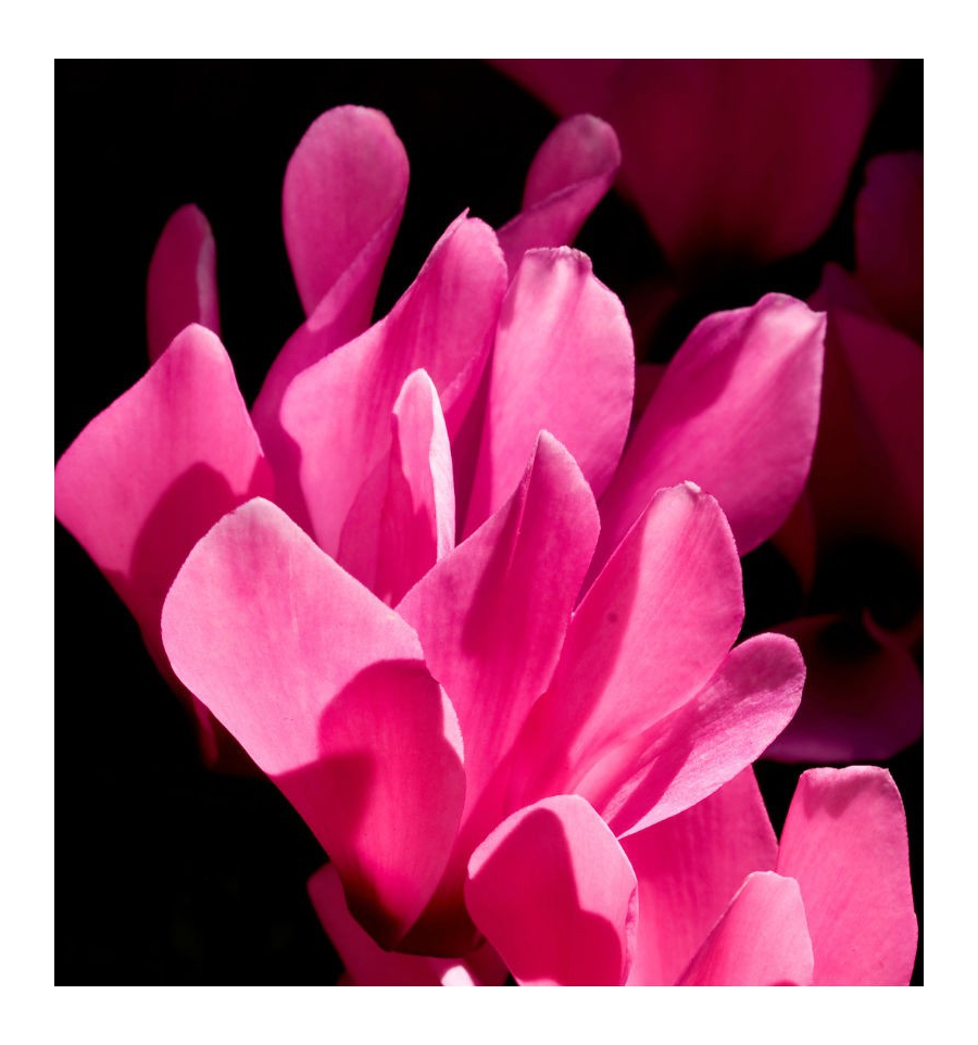 ACQUA PER UOMO /Inšpirovaná GIORGIO ARMANI - Acqua Di Gio .. 50ml