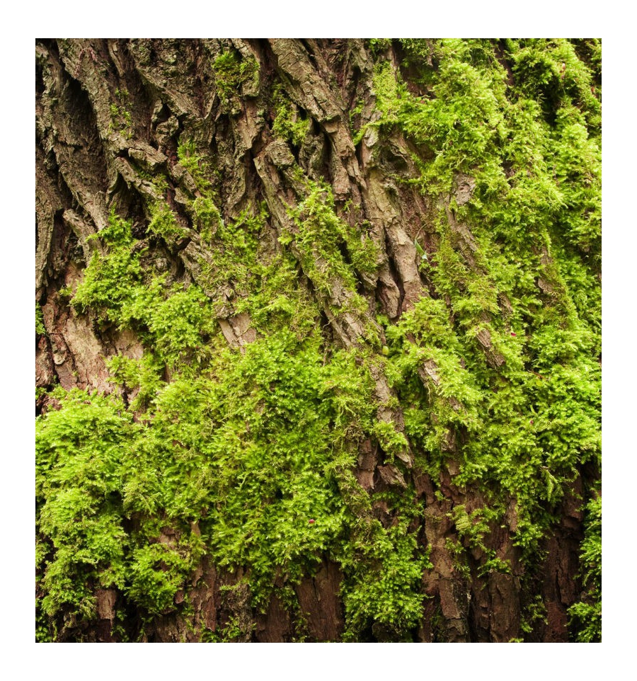 AGUA FRESCA - UNISEX / Inšpirovaná CALVIN KLEIN - Ck One .. 50ml