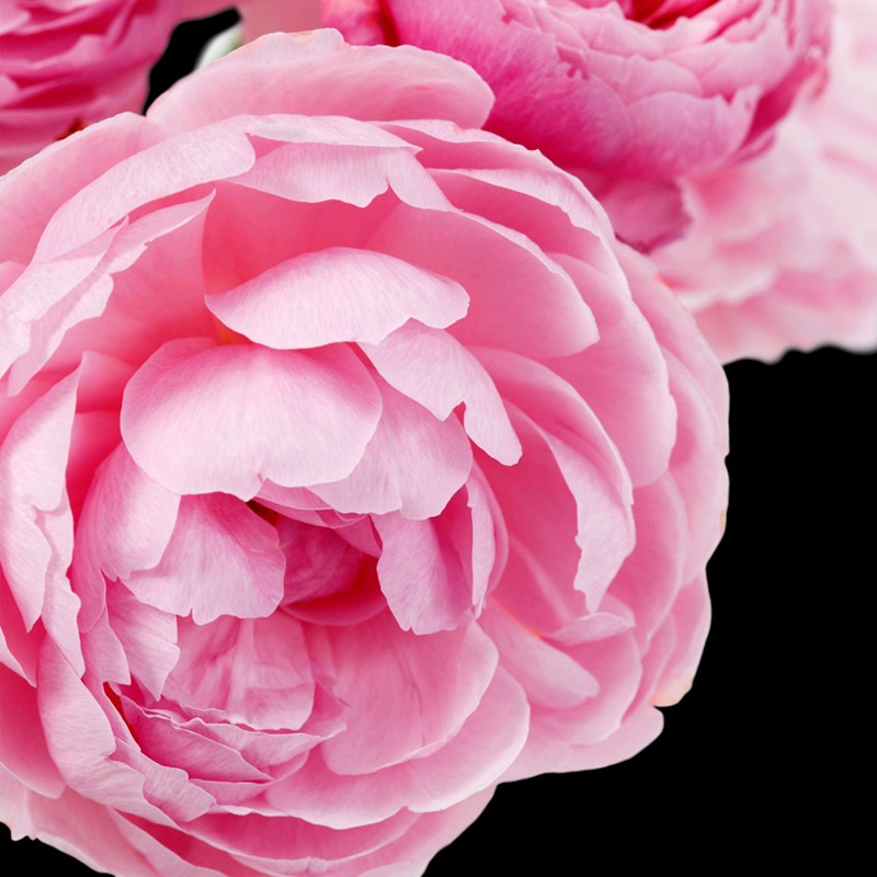 PRIME / Inšpirovaná LANCOME Idole .. 15ml