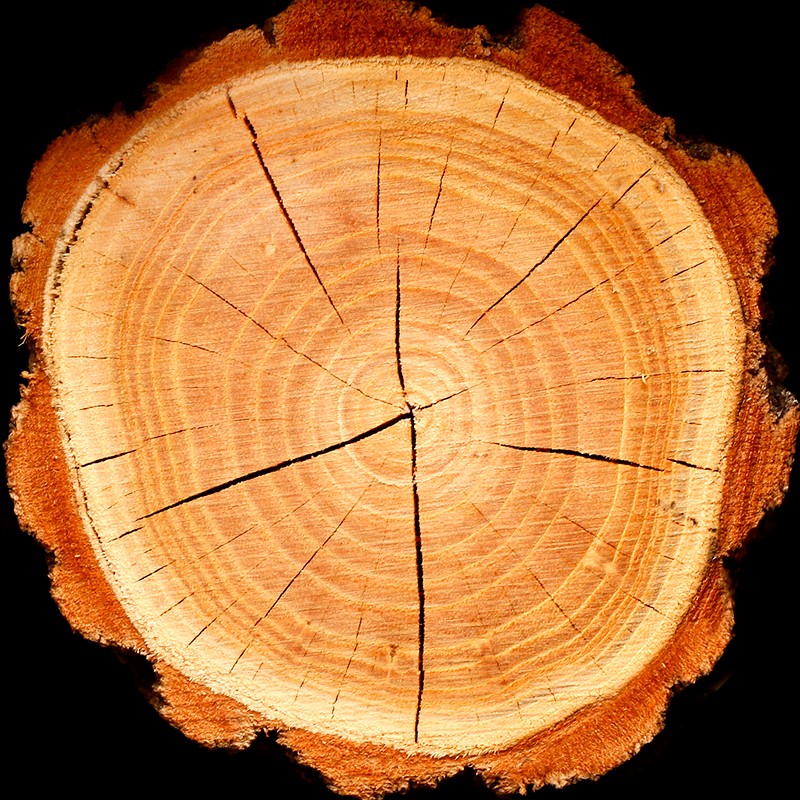 ÉLET / Inšpirovaná MONTBLANC Legend .. VZ