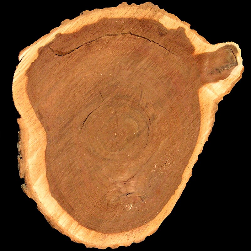 KENT / Inšpirovaný DOLCE & GABBANA K .. 15ml