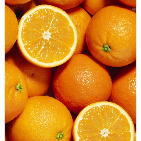 BLUE SAND / UNISEX Inšpirovaná XERJOFF Erba Pura .. VZ