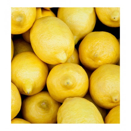 BLUE SAND / UNISEX Inšpirovaná XERJOFF Erba Pura .. VZ