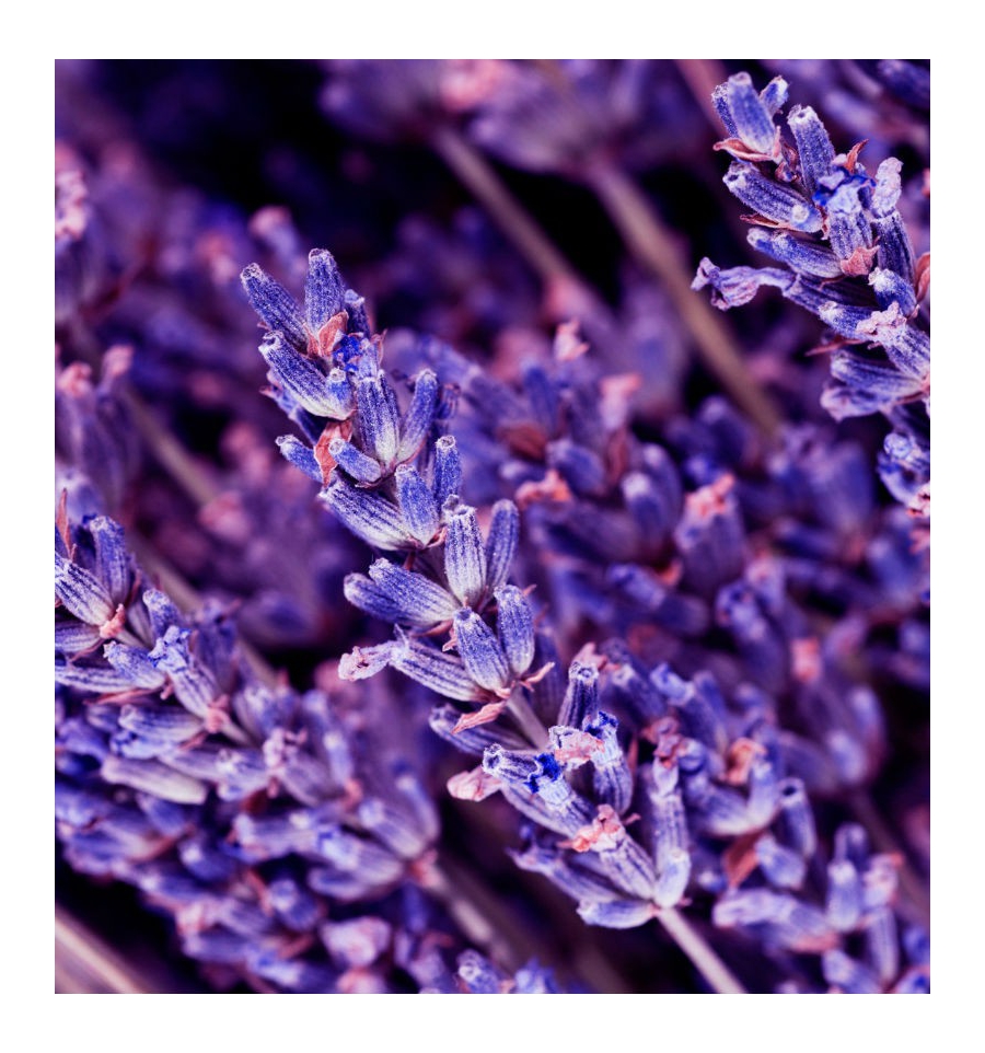 INSTINT / Inšpirovaná JEAN PAUL GAULTIER-  Le Male .. 100ml