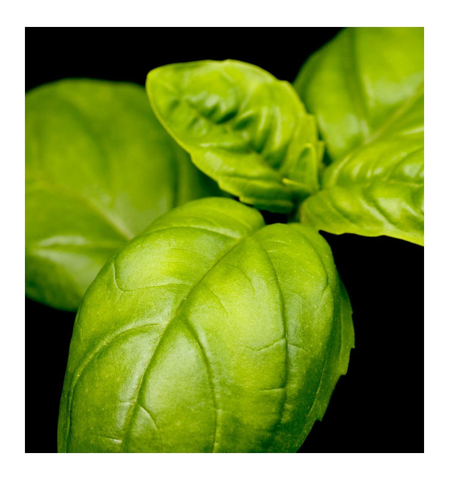 SOPHYSTICATE MEN / Inšpirovaná DOLCE GABBANA - The One .. 100ml