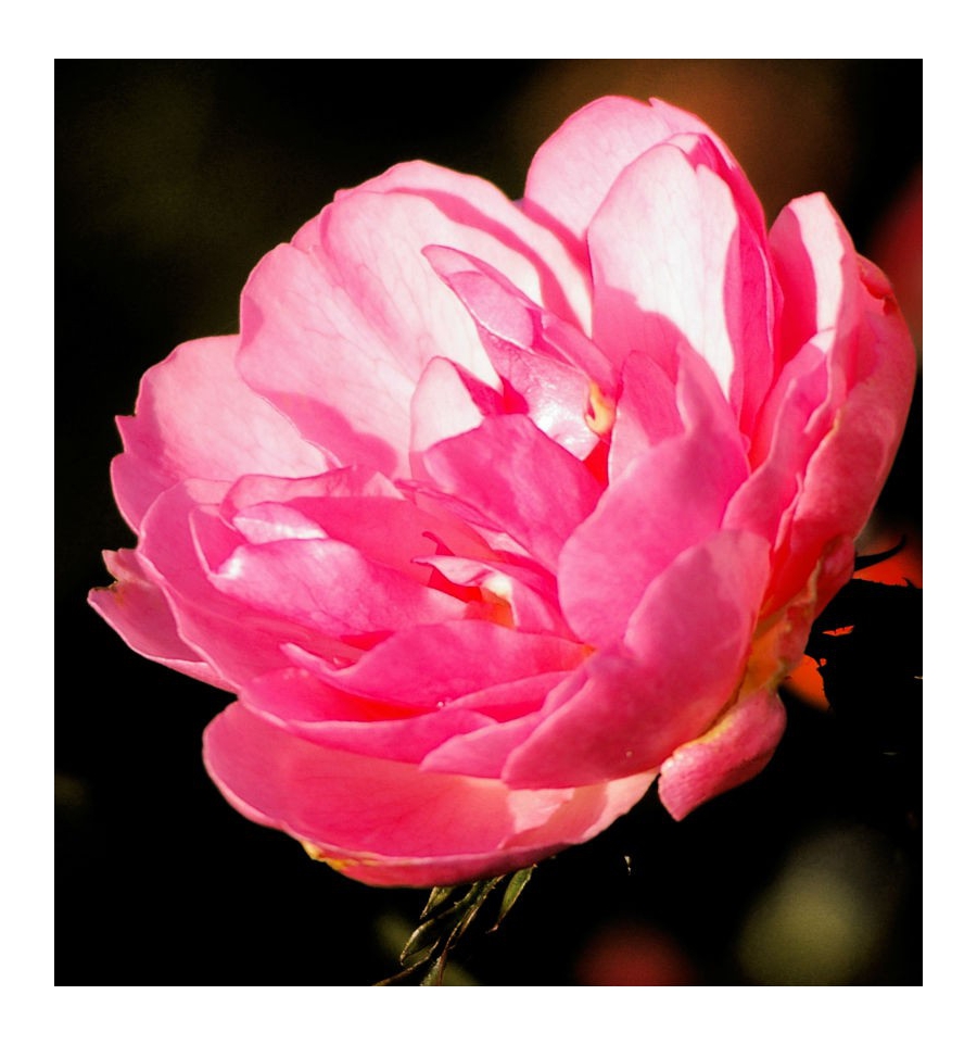 PROSA / Inšpirovaná CALVIN KLEIN - Eternity .. VZ