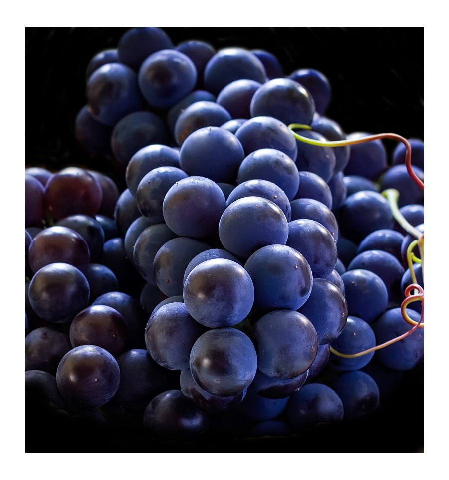 SEXY ROSE / Inšpirovaná Sexy-rose - CAROLINA HERRERA - 212 VIP Rose .. 100ml 