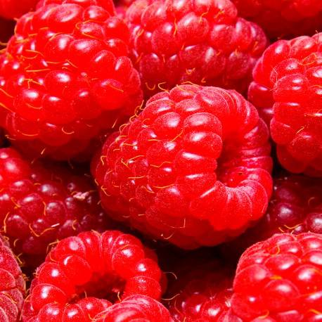 AMBRAX / UNISEX Inšpirovaná LOUIS VUITTON Ombre Nomade .. 100ml