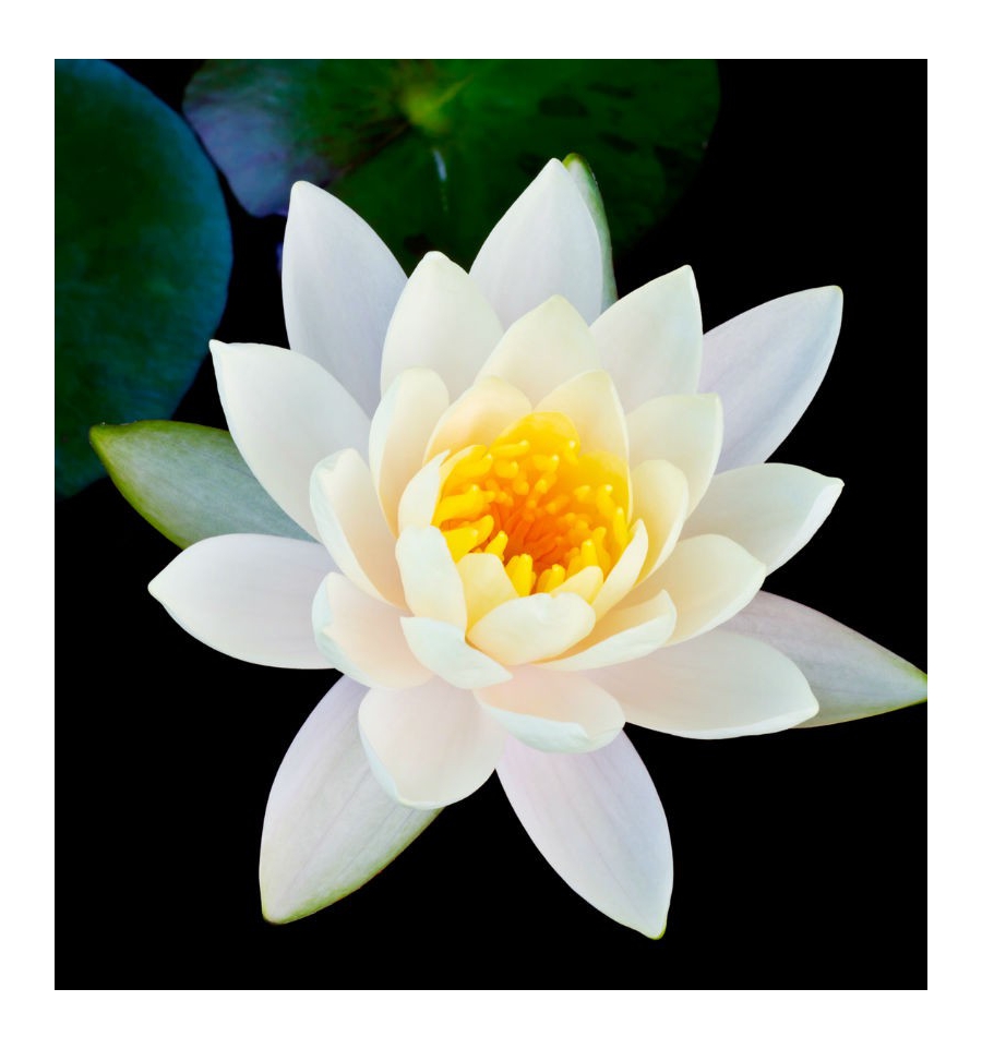 JUNSUI / Inšpirovaná ISSEY MIYAKE - L´Eau D´Issey .. 100ml