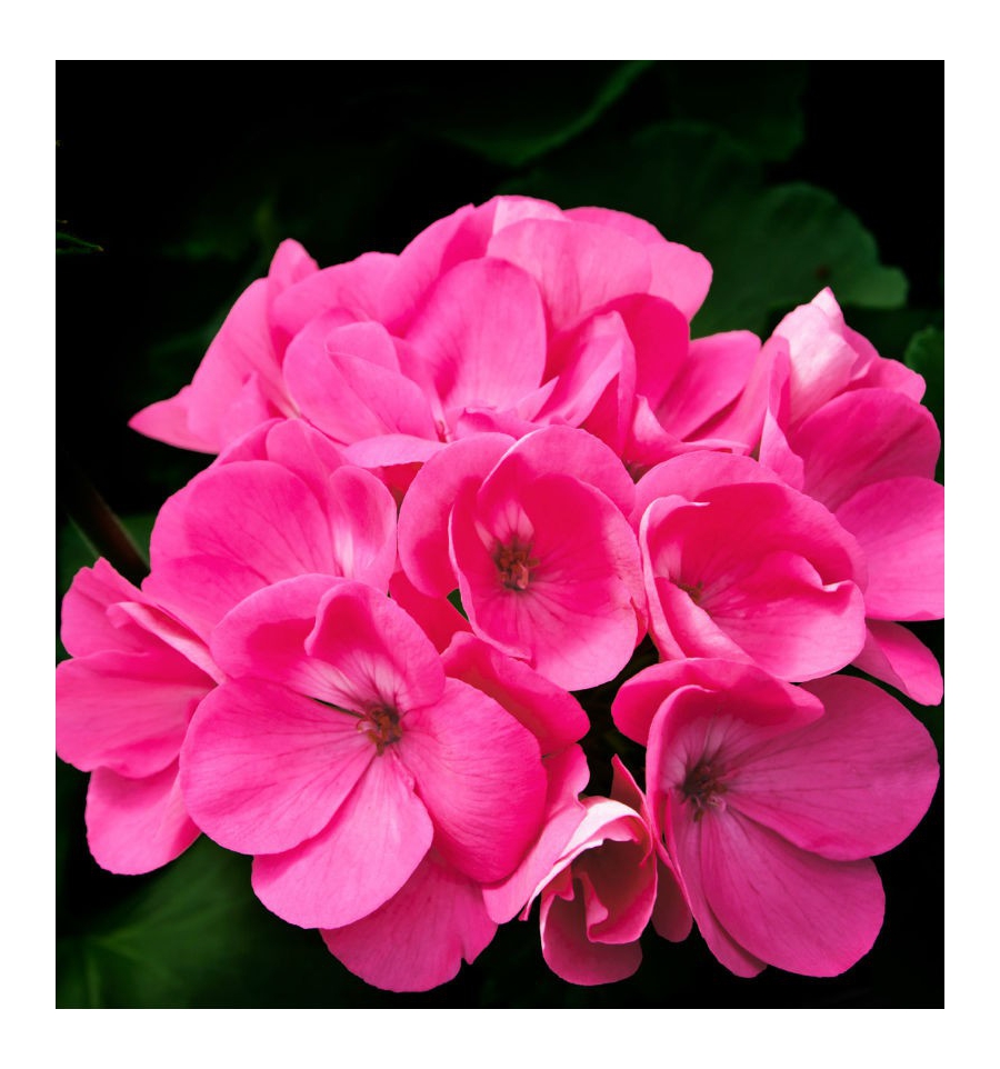 ROOT / Inšpirovaná HERMES - Terre D´Hermes .. 100ml