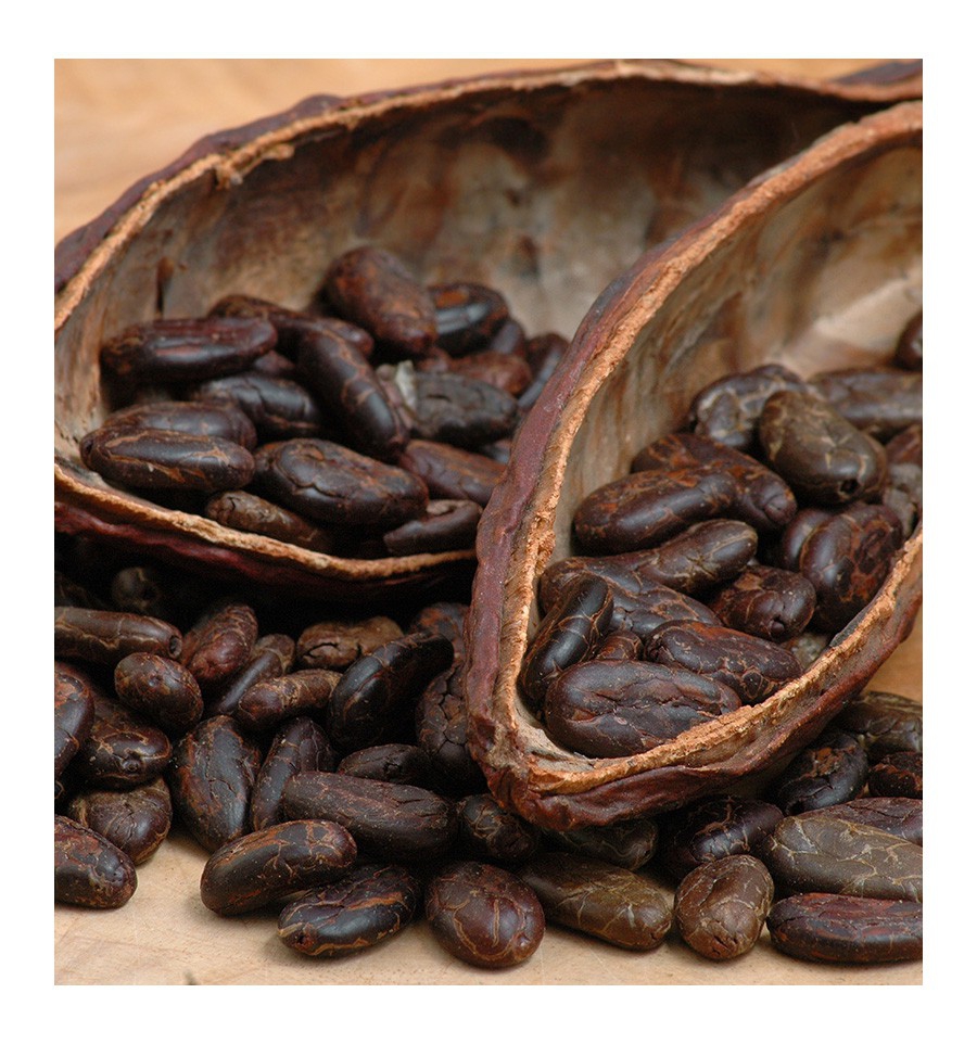 SUCCESS Pour HOMME / Inšpirovaná CHRISTIAN DIOR - Dior Homme .. 100ml