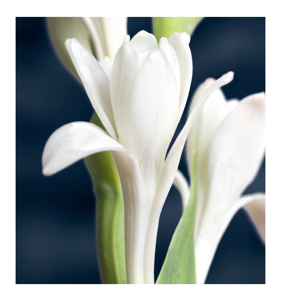 YODE / Inšpirovaná GUCCI - Bloom .. VZ