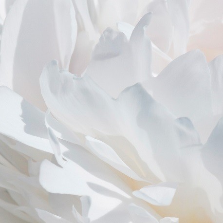 VÁLIA / Inšpirovaná PARFUMS de MARLY Valaya .. 15ml