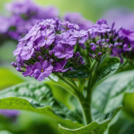 TAYDA / UNISEX Inšpirovaná MARC ANTOINE BARROIS Tilia .. 100ml