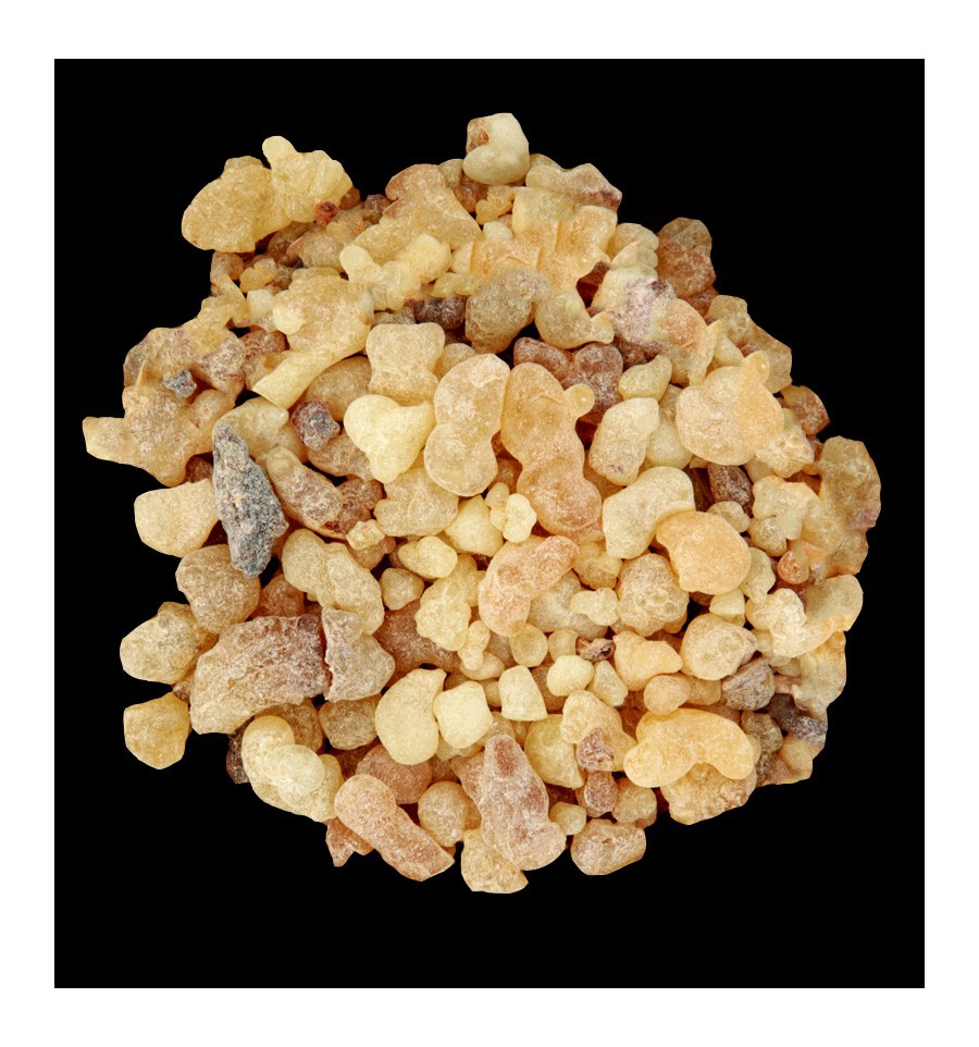 GIANNA / Inšpirovaná DOLCE & GABBANA - Dolce .. VZ