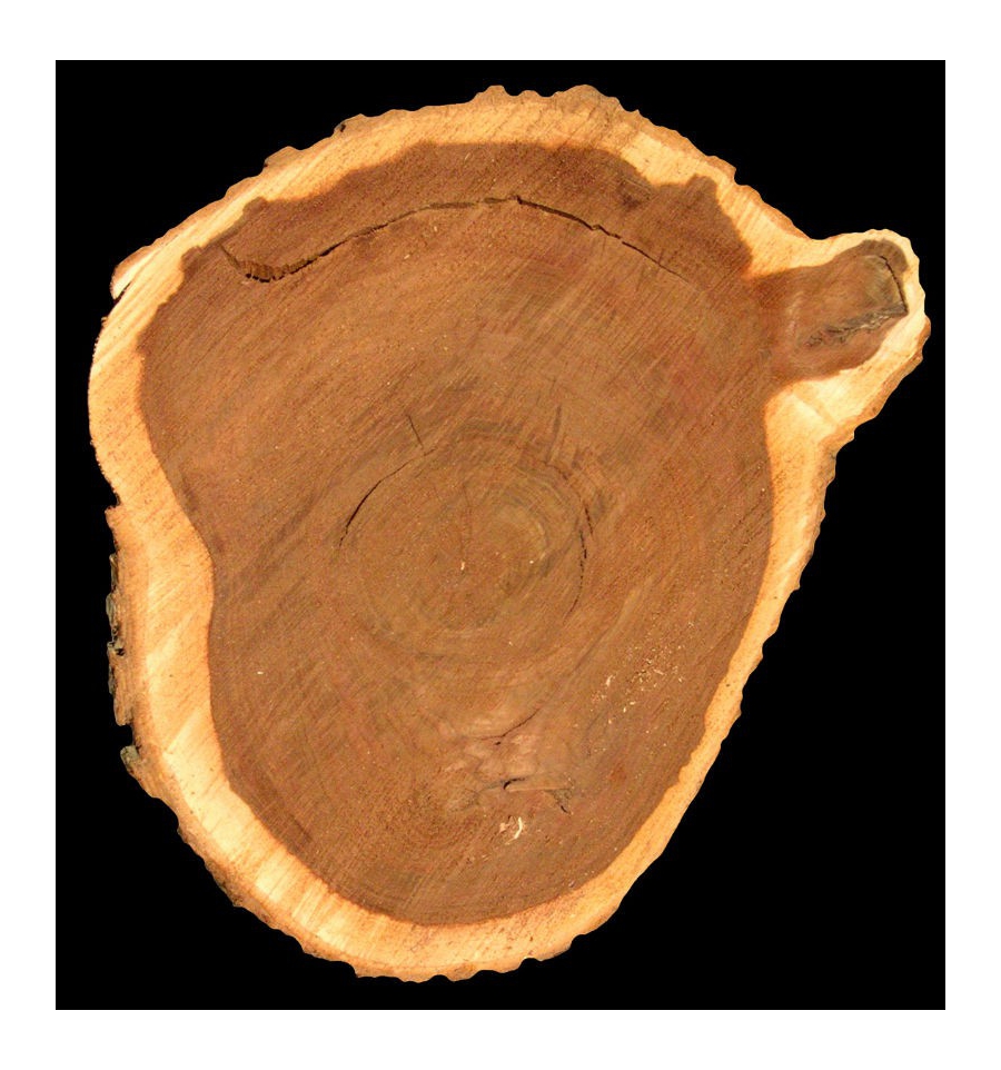 SOPHYSTICATE MEN / Inšpirovaná DOLCE GABBANA - The One .. 100ml