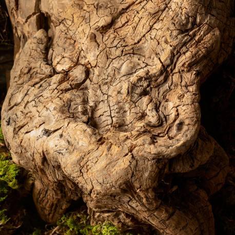 NYA / UNISEX Inšpirovaná KILIAN The Liquors Angels' Share .. 15ml